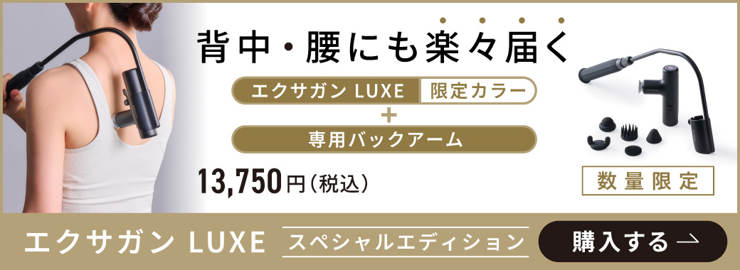  専用バックアーム付きの特別セット！​